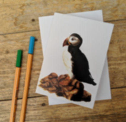 Puffin Greeting Card