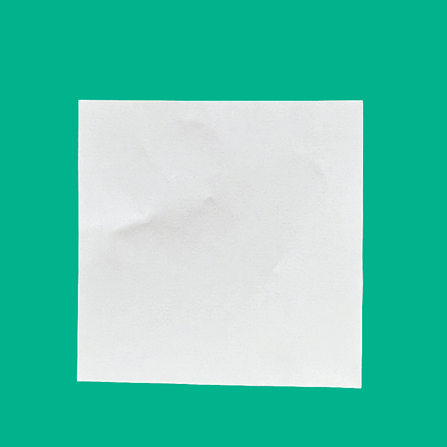 Hummingbird-Stop-Motion.gif