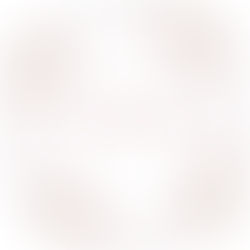 新しい取り組み始めます♪