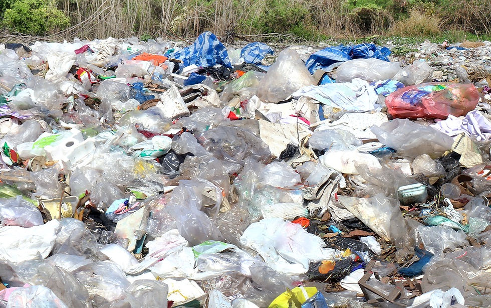 Lexy Silverstein Responsible Fashion