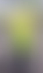 Confessions of a Former Fast Fashion Shopper