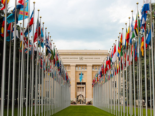 Join us! EnRoL! Event on Conflict, Survivors’ Rights & EU Green Deal