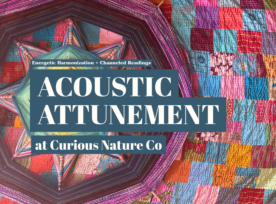 Acoustic Attunement at Curious Nature Co — Revive wellness at Curious Nature CO, Santa Fe Arts District