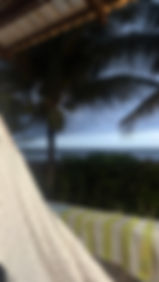 IMG_3390.jpeg