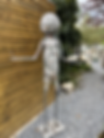 IMG_8490.png