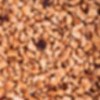 Spùn Sesh4 25_10-380-3.jpg