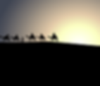 animal-1300253__480.png