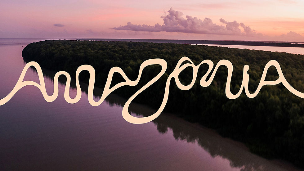 Logo Amazzonia