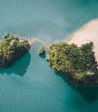 aerial photography of a green island_edited.jpg