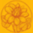 mexican flower_edited.jpg