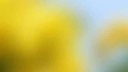 遠藤彰子弁護士が入所しました。