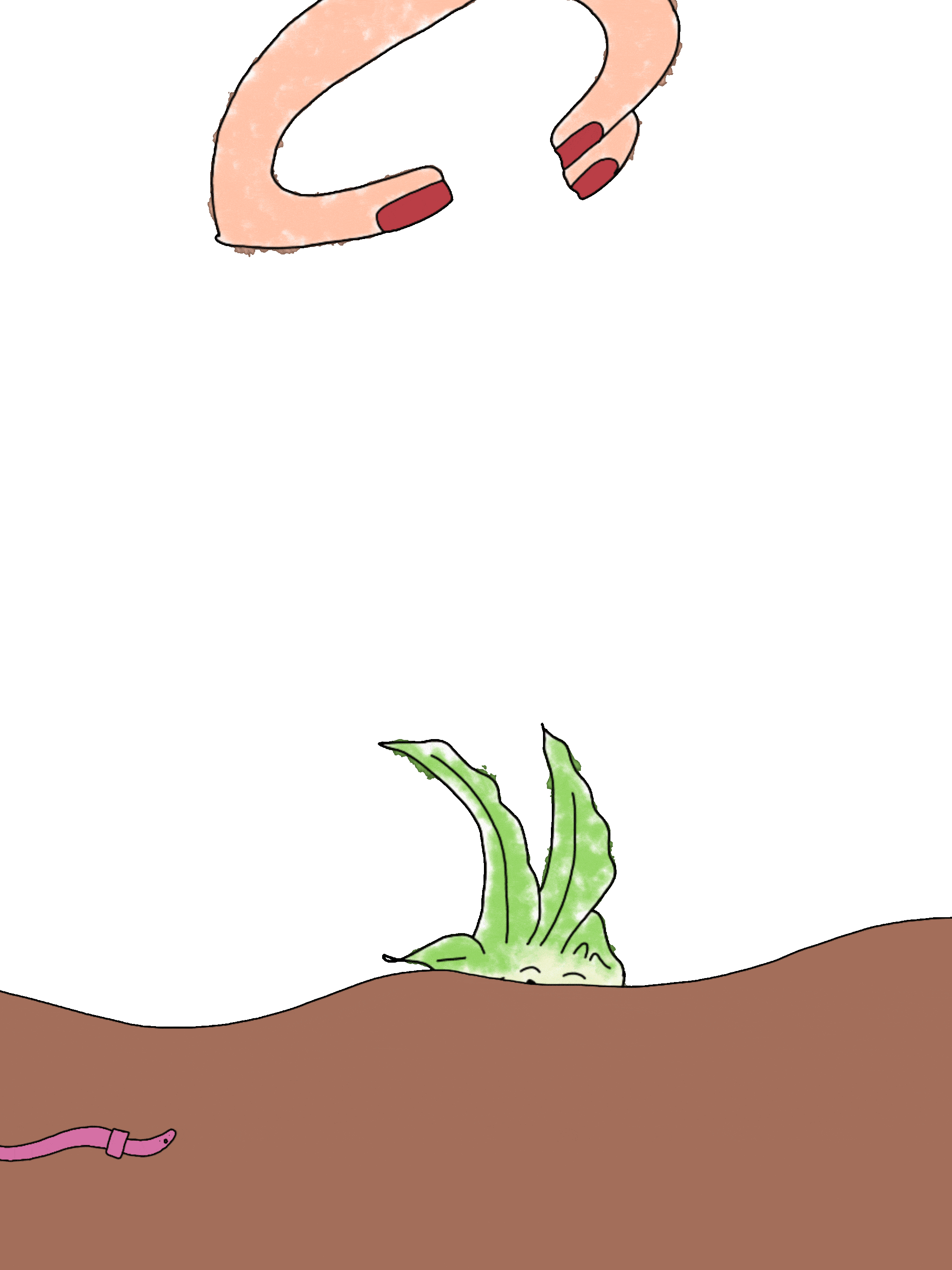 turnip gif 3 4 ratio-min.gif