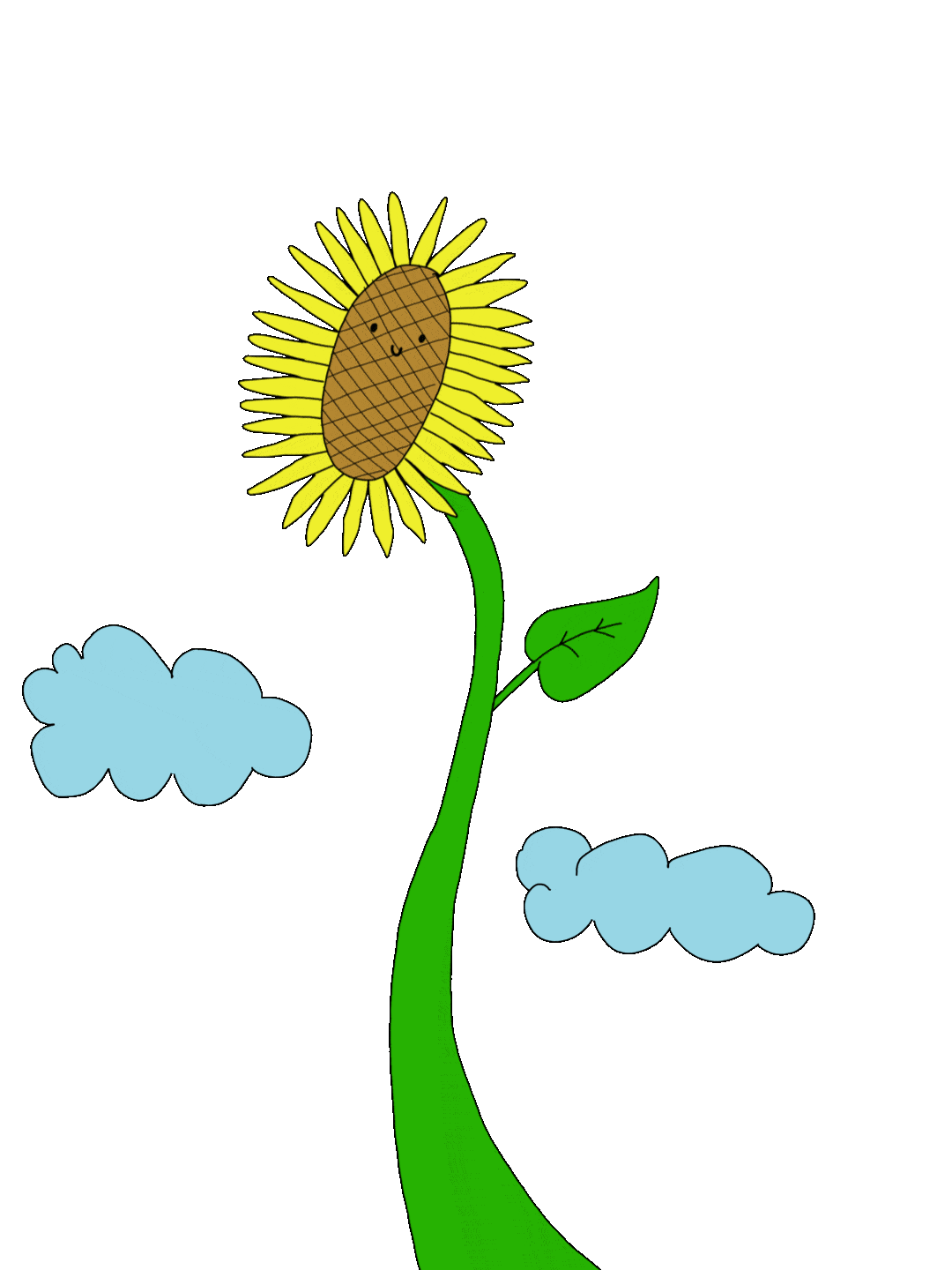sunflower-min.gif