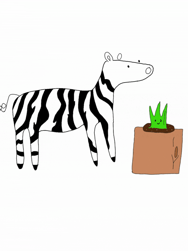 animation of cute zebra drawing