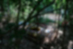 PoƧo de monitoramento do SACRE no Horto Florestal (Fonte: Isabela Batistella)