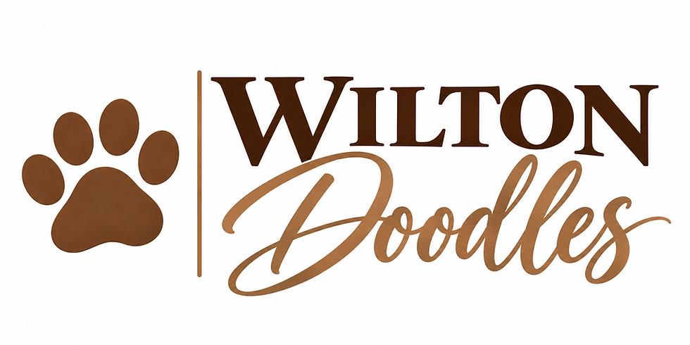 logo 2.png