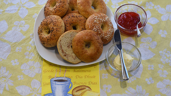 BAGELS (6)