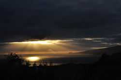 DSC_0252.JPG