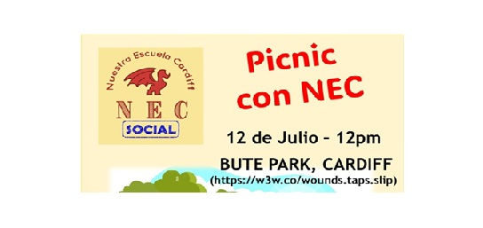 Picnic con NEC