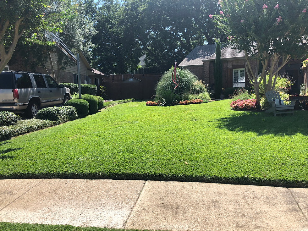 Lawn Grass with Landscape Garden Beds