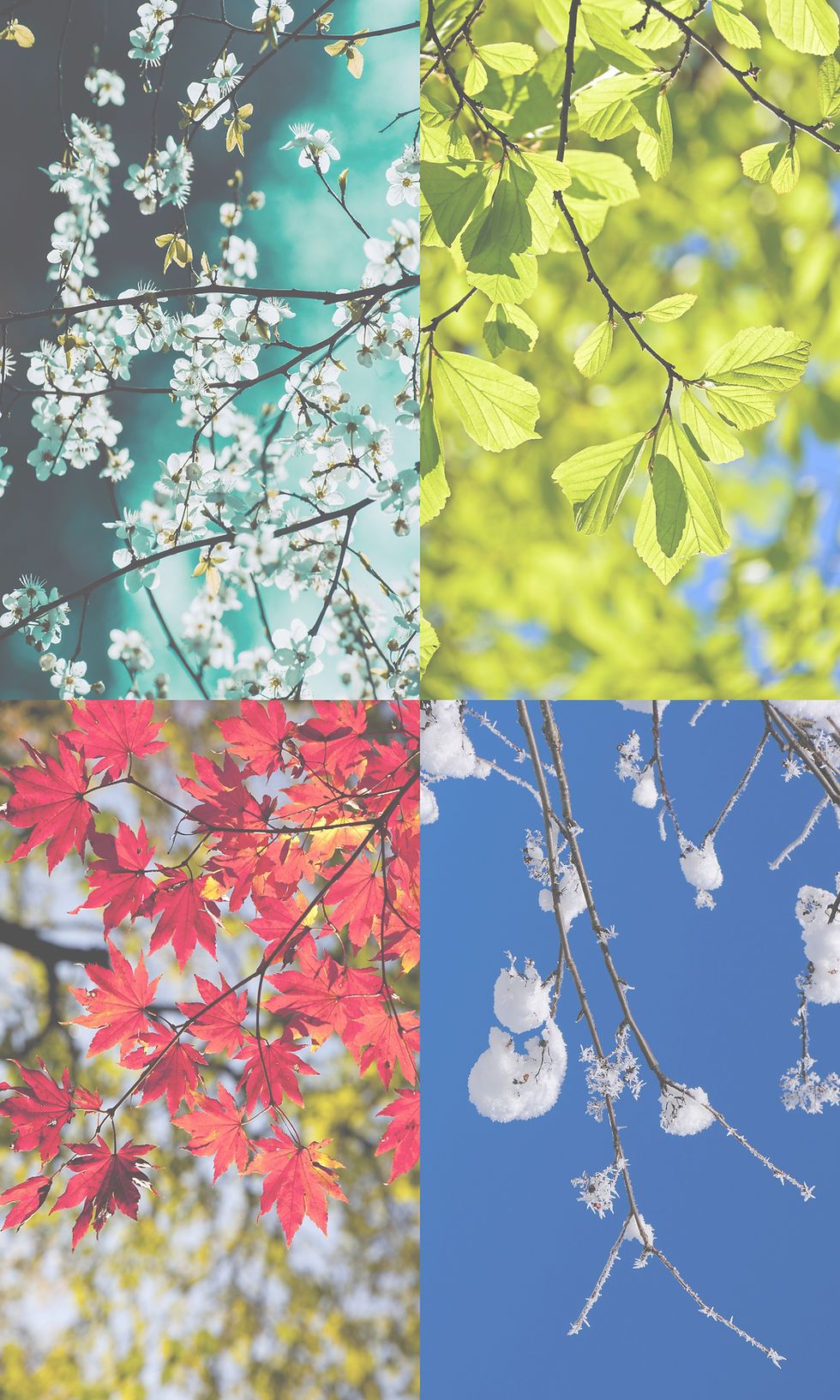 Season of Change