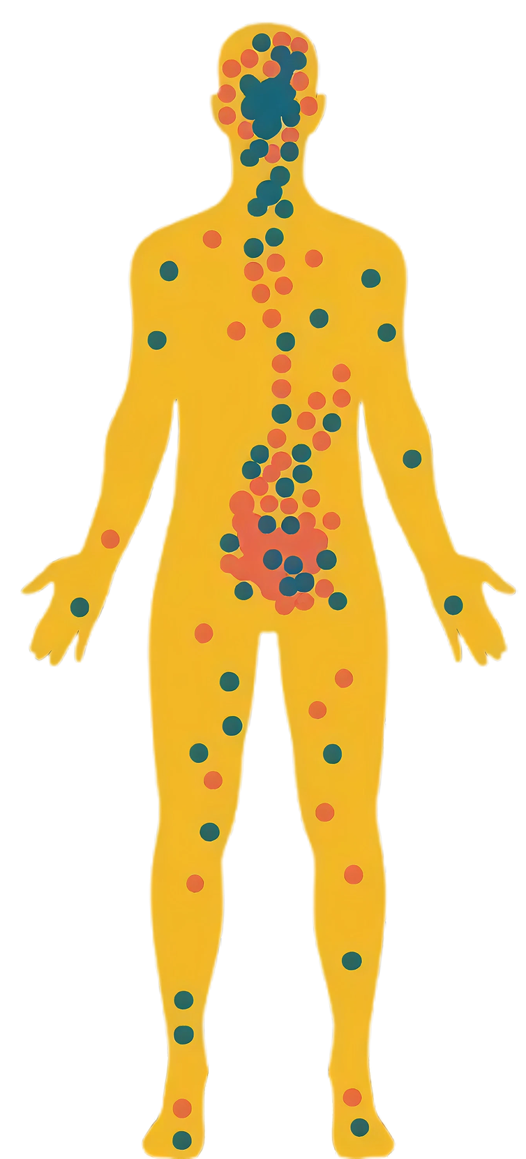 image-removebg-preview 2 (1).png