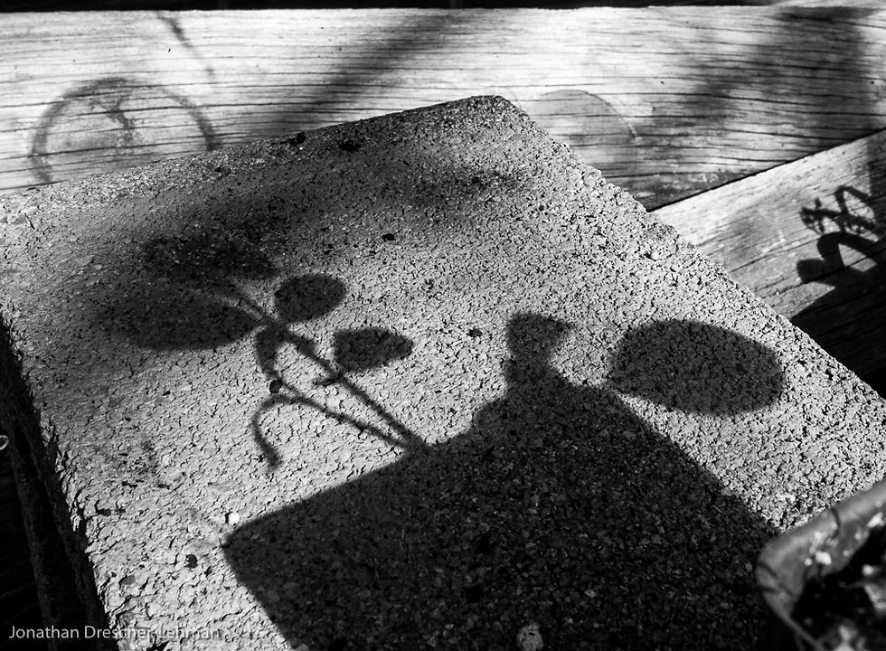 Jonathan Drescher-Lehman