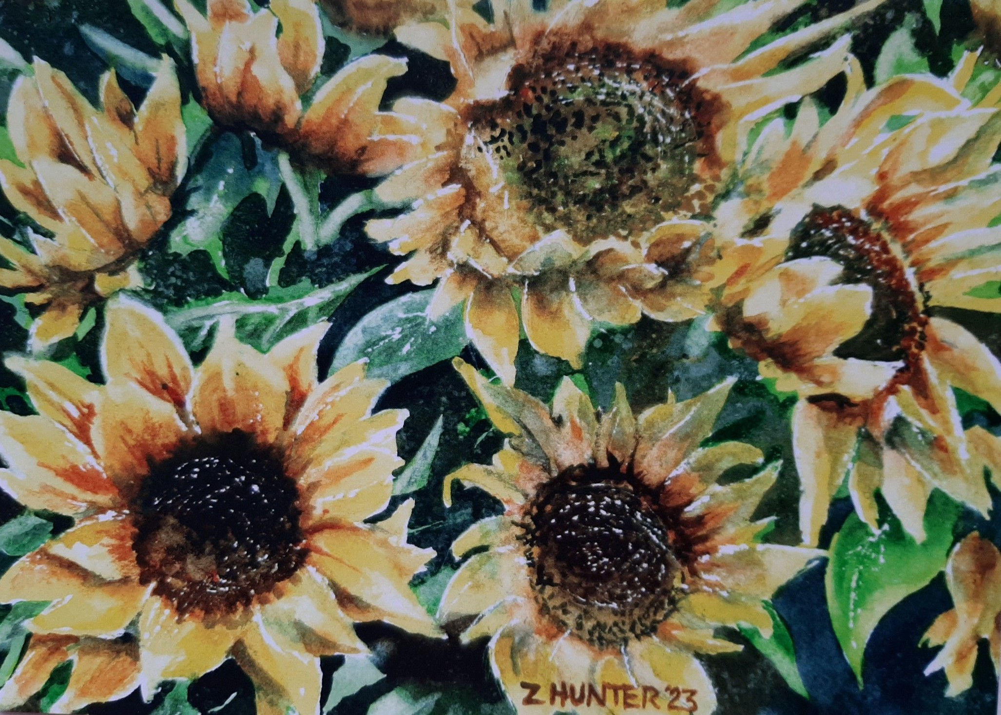 Sunflower Daydream-4 Cards