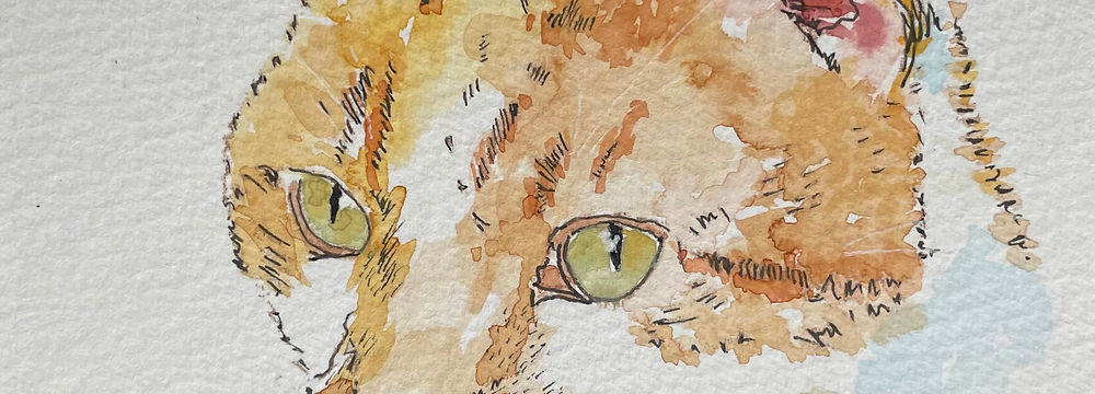 Create your very own watercolour Highland Cow with guidance 