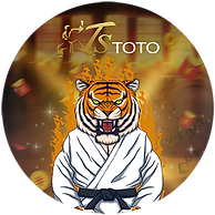 TSTOTO 320 X 320_0.png