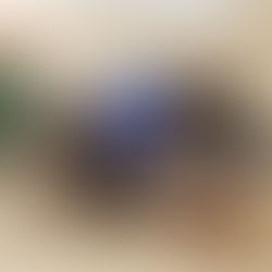 2018 ACTS in Singapore