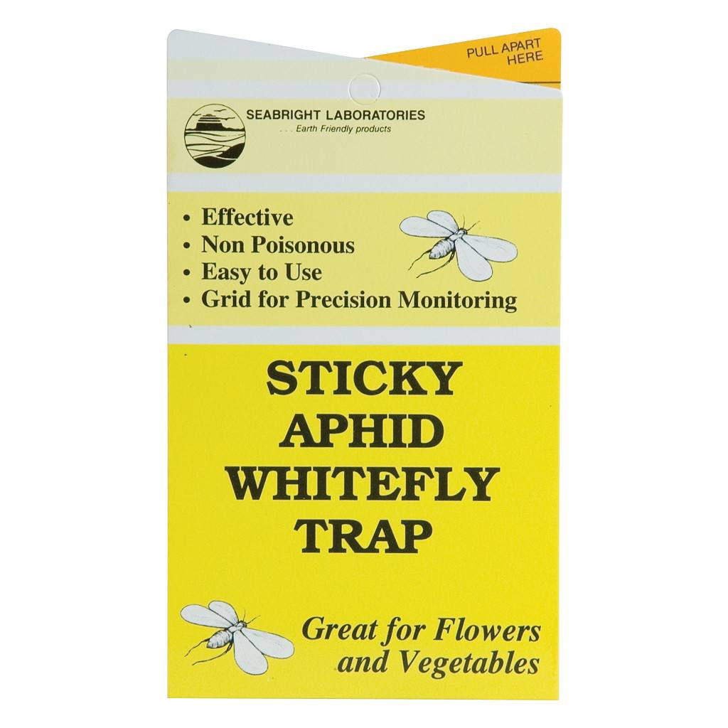 Sticky aphid whitefly trap