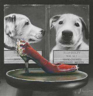 Mugshot Mutts Series
