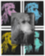 Warhol - Teka