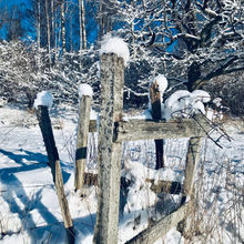 När snön faller...