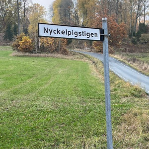 Nya gatuskyltar uppsatta