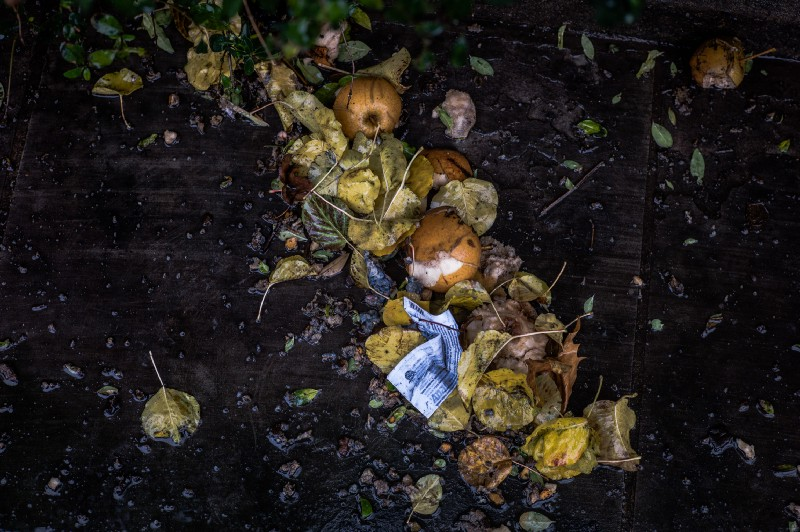 Compost pile