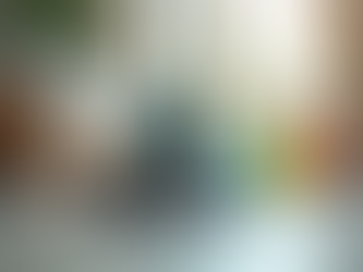 Residential Cleaning Essentials in Belgium