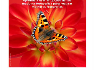 Workshop de Iniciação à Fotografia e Retoque Digital – 23 de Maio a 8 de Junho
(Reguengos de Monsara