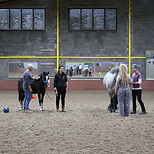 IMG_0010.jpg
