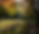 Screenshot 2024-10-14 135045.png