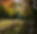 Screenshot 2024-10-14 135045.png