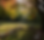 Screenshot 2024-10-14 135045.png