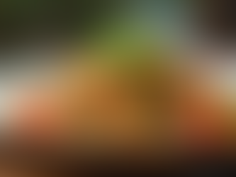 The Art of Fusion Cuisine Tasting Menus: Fusion Cuisine Highlights