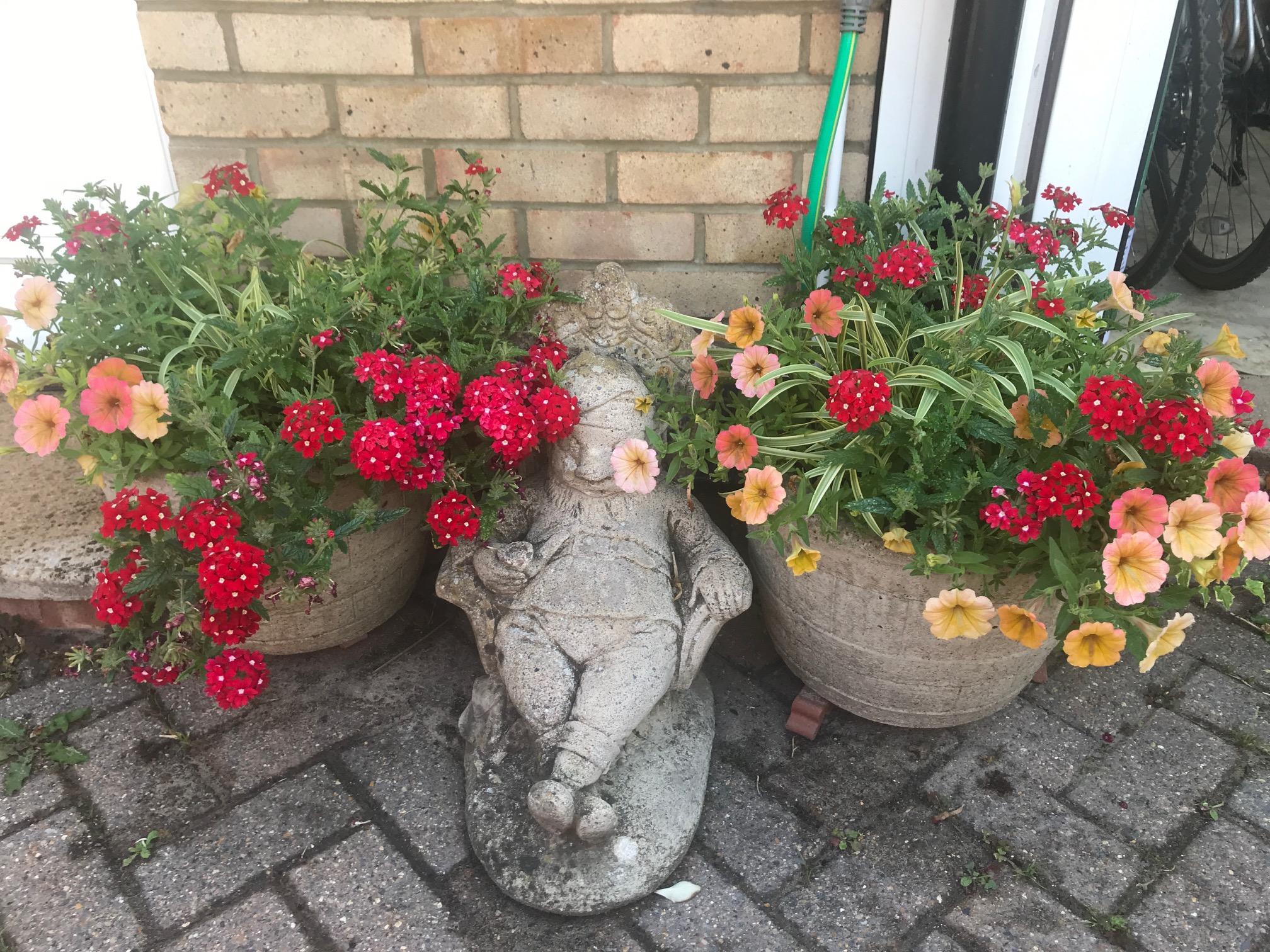 Ruth Crowther lazy gardener