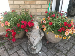 Ruth Crowther lazy gardener
