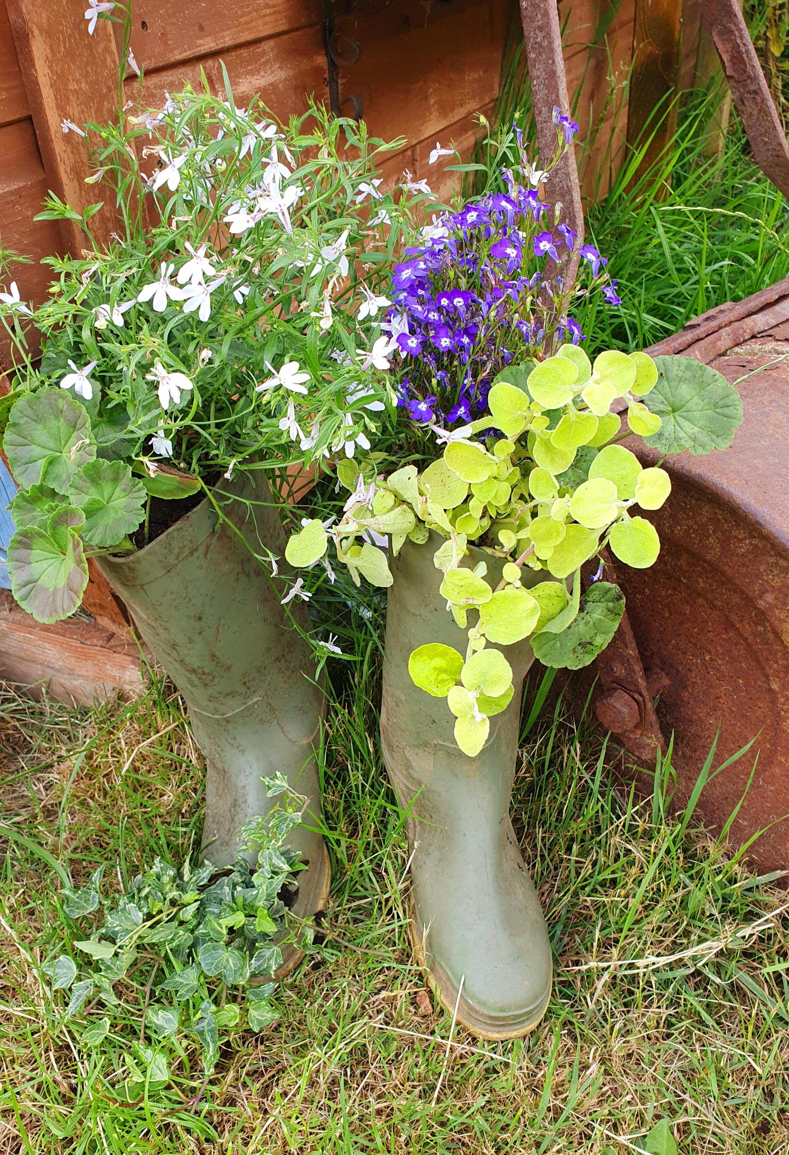 Angie Picton's wellies