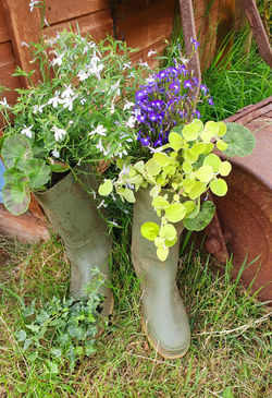 Angie Picton's wellies