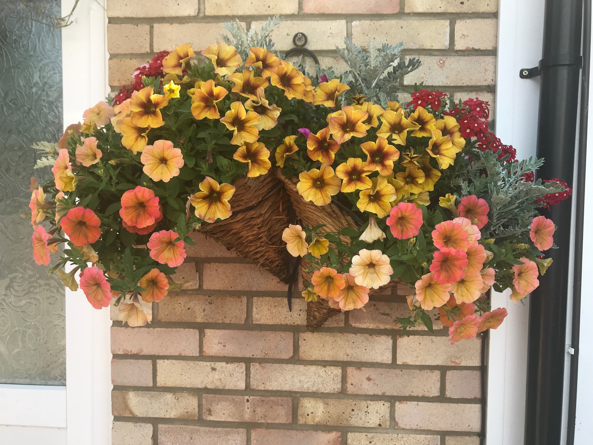Ruth's hanging basket