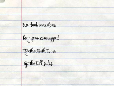 Bone Rungs by elin o'Hara slavick